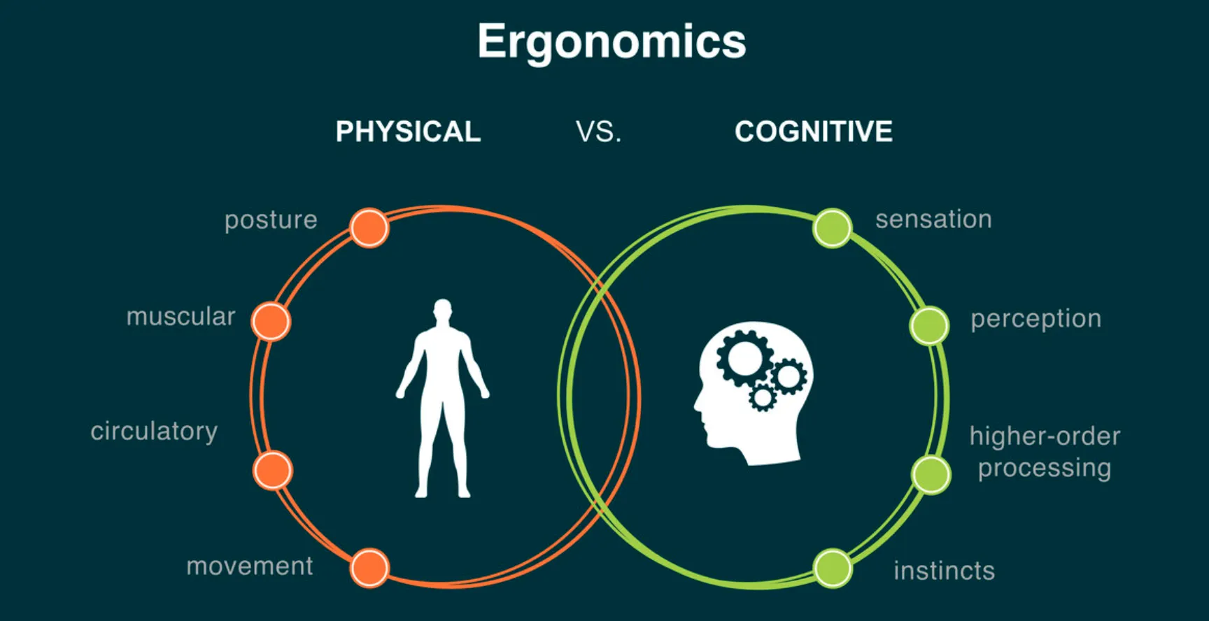 Ergonomics expert assessing an employee workstation